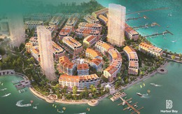 Giải mã sức hút Harbor Bay trên thị trường bất động sản nghỉ dưỡng Hạ Long