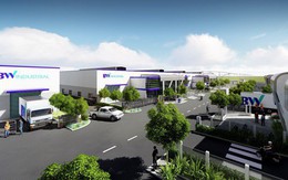 “Hổ Việt Nam” Đón vốn FDI 2.0