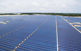 Đẩy mạnh điện mặt trời GEC ngược dòng thị trường, lợi nhuận gộp quý I 2019 tăng trưởng gần 50%