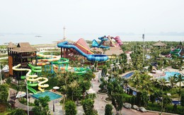 Tận hưởng mùa hè với hệ sinh thái du lịch đặc sắc ở Hạ Long