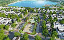 Món quà 100 tỷ của Vinfast và khát vọng về 1 Việt Nam xanh của Vingroup