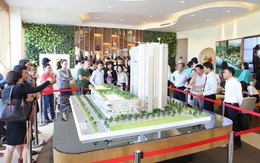 Lý giải cho sức hấp dẫn của căn hộ xanh ngay trung tâm thành phố Thanh Hóa
