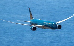 Lý giải vị thế vượt trội của hàng không truyền thống tại thị trường Việt