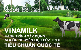 Vinamilk và hành trình xây dựng nguồn nguyên liệu sữa tươi theo tiêu chuẩn quốc tế