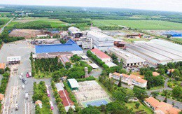 SBT chi trả cổ tức bằng tiền mặt 8% niên độ 17-18