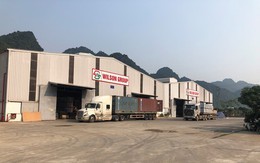 Yếu tố cốt lõi để Wilson Việt Nam có được vị thế hàng đầu trên thị trường sàn gỗ công nghiệp hiện nay