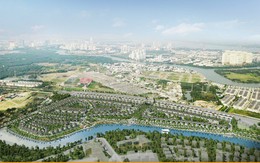 “Ngoại binh” xứ Hàn và cuộc chinh phạt thị trường Việt