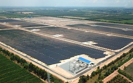 Bước ngoặt mới của Hawee Group