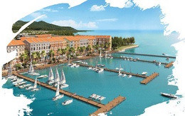 Những mảnh ghép mới tạo nên bức tranh tổng hòa Halong Marina