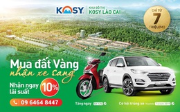Cuối năm 2019: Chủ đầu tư đua nhau kích cầu