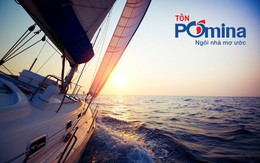 Chỉ sau hai tháng đi vào sản xuất, Tôn Pomina đã có lô hàng xuất khẩu đầu tiên, đặt chân vào thị trường quốc tế