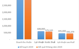 Quỹ ngoại PYN Elite tăng tỷ lệ sở hữu cổ phiếu CEO