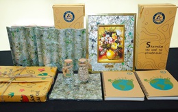 Hành trình bền vững của những chiếc vỏ hộp giấy