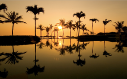 L'alyana Senses World:  Đánh thức ngũ quan, tìm lại bản nguyên cuộc sống