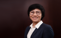 Tập đoàn Clermont bổ nhiệm Chủ tịch Hội đồng quản trị mới cho Tập đoàn Y khoa Hoàn Mỹ