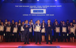 Malloca vinh dự nhận giải thưởng Top 500 doanh nghiệp tăng trưởng nhanh nhất 2019 – FAST 500