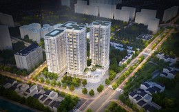 “Chạm nóc” trước 45 ngày, Ecoba cam kết về tiến độ và chất lượng thi công tòa CT2 Dự án Iris Garden