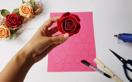 Startup Việt: Mơ xa gặt lớn với thương mại điện tử