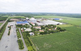 SBT - doanh thu thuần niên độ 2018 - 2019 đạt 95% kế hoạch năm