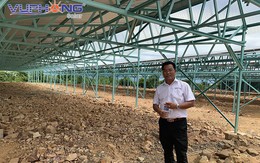 Điện mặt trời kết hợp nông nghiệp công nghệ cao tại Việt Nam: Mô hình sinh lợi kép