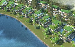 Chất sống “huyền thoại” dành riêng cho những triệu phú USD tại Việt Nam