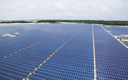 Công ty đa dạng năng lượng tái tạo niêm yết HOSE - tăng cường các hoạt động hợp tác quốc tế