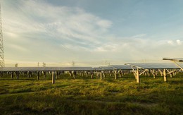 Nhà máy điện mặt trời Dầu Tiếng: Chọn đất bán ngập để phát triển năng lượng bền vững