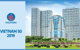 Viglacera được xếp hạng tăng trưởng cao nhất và lọt vào trong top 50 thương hiệu có giá trị nhất Việt Nam