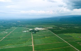 SBT tiên phong và phát triển ra sao trong phân khúc sản phẩm đường Organic?