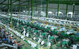 Nhựa An Phát Xanh (AAA) lãi quý 3 đạt 86 tỷ đồng, tăng trưởng 49% so với cùng kỳ năm 2018