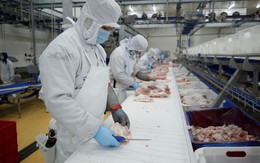 Nhiều tiềm năng cho thịt mát tươi, ngon, an toàn