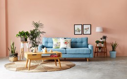 BAYA và hành trình “lột xác” thương hiệu đầy ấn tượng