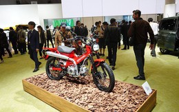 Toàn cảnh gian hàng Honda tại Tokyo Motor Show 2019
