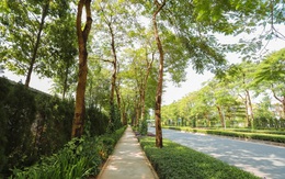 Giải mã sức hút tại The Zen Residence – Gamuda Gardens