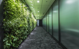 Khơi nguồn cảm hứng từ những văn phòng xanh