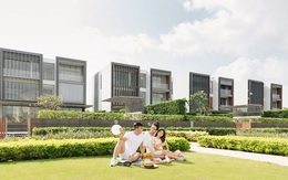 Giáng sinh yên bình tại HOLM