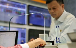 Công ty chứng khoán có vai trò đến đâu khi tham gia phát hành trái phiếu?