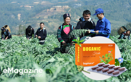 Những chuyện chưa kể về loại thuốc 20 năm bảo vệ lá gan của người Việt Nam