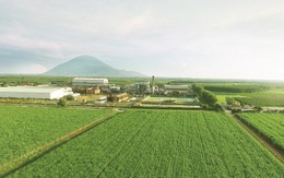 SBT - dự kiến lợi nhuận trước thuế quý 3 tăng trưởng ấn tượng 349% so với 6 tháng đầu niên độ