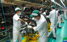 Nikkei: Sức khoẻ ngành sản xuất Việt Nam sụt giảm, kết quả thấp nhất kể từ 3 năm trước