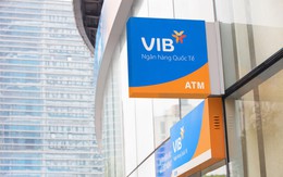 VIB sẽ chia toàn bộ cổ phiếu quỹ cho nhân viên và cổ đông hiện hữu, trả cổ tức tiền mặt tỷ lệ 5,5%