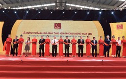 Tập đoàn Hoa Sen liên tục xuất khẩu các đơn hàng lớn và khánh thành Nhà máy mới