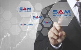 Năm 2018 bị "hụt", SAM Holdings tiếp tục phương án phát hành tăng vốn lên 3.500 tỷ đồng