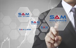 SAM Holdings giảm phân nửa lãi ròng về 3,5 tỷ đồng, không còn doanh thu bất động sản