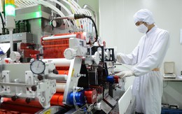 Muốn vươn tầm thế giới, doanh nghiệp cần đầu tư vào nội lực sức trẻ