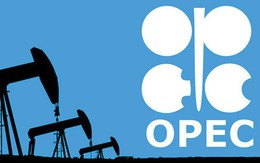 OPEC+ cắt giảm khai thác dầu đến khi nào?