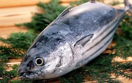 VASEP kiến nghị gỡ khó cho cá ngừ xuất khẩu bị ách tắc tại cảng