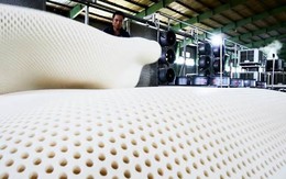 Nệm Vạn Thành trong chặng đường phát triển mới