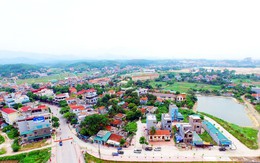 Quảng Ninh lựa chọn dự án khu đô thị mới 1.700 tỉ đồng tại Móng Cái