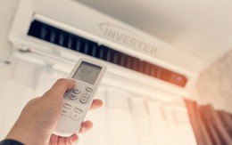 Sức hút từ tín dụng "xanh"